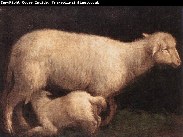 BASSANO, Jacopo Sheep and Lamb dghj